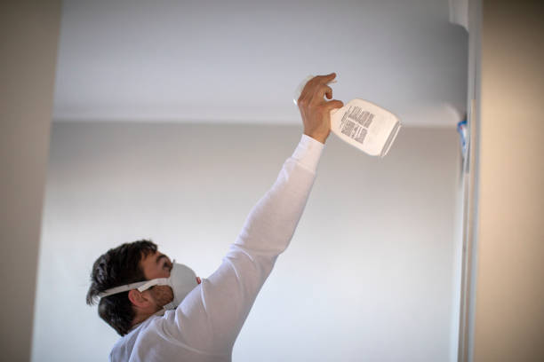 Best Mold Removal Near Me  in Parkers Prairie, MN