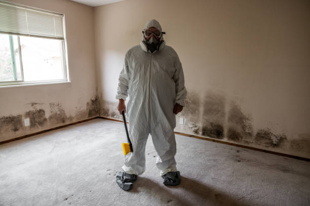 Best Mold Removal Company Near Me  in Parkers Prairie, MN